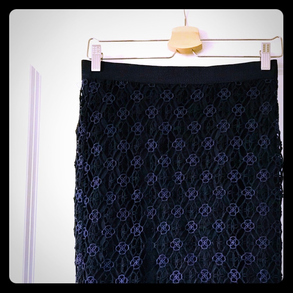 Ann Taylor Signature Lace Skirt.